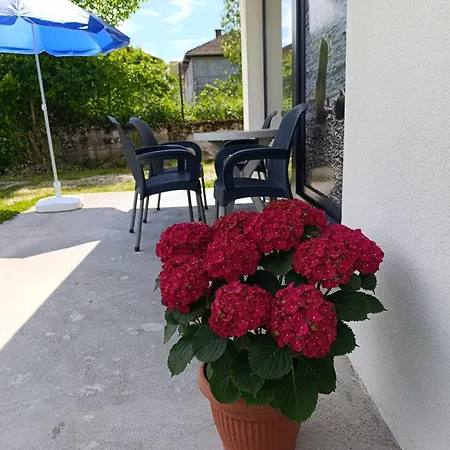 Na Dlanu, Apartment